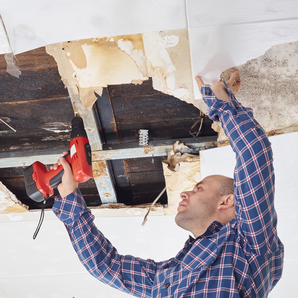 The Full Guide: Water Damage Restoration - The Home Depot
