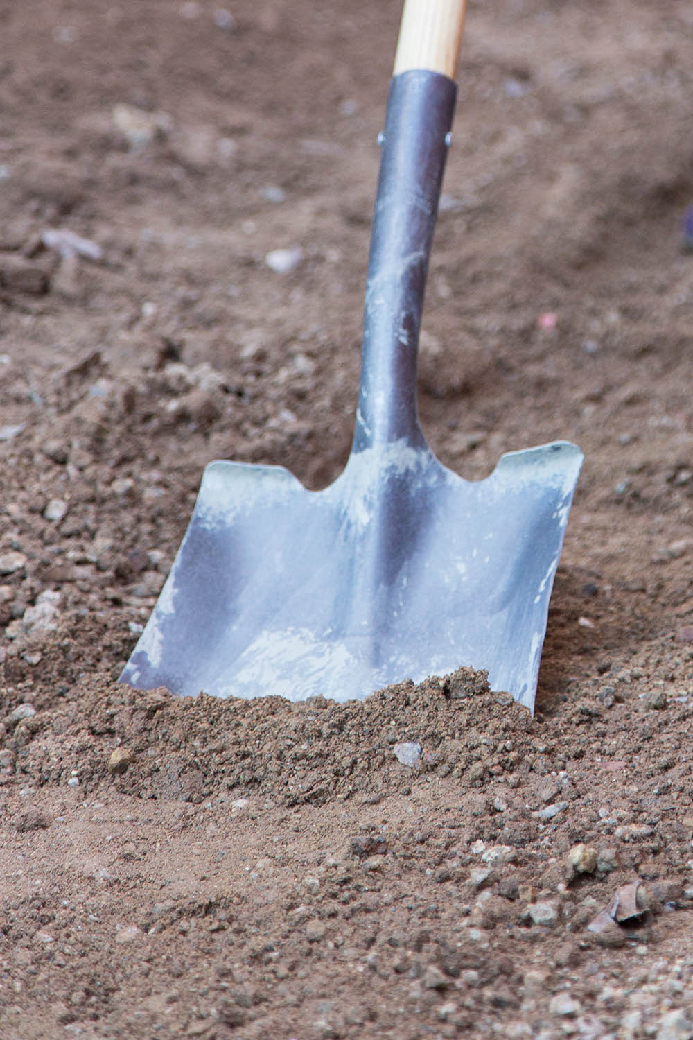 A shovel inserted into dirt.