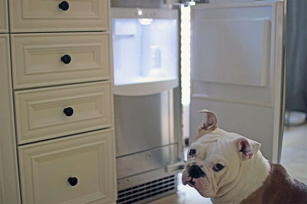 An open mini fridge next to white drawers.