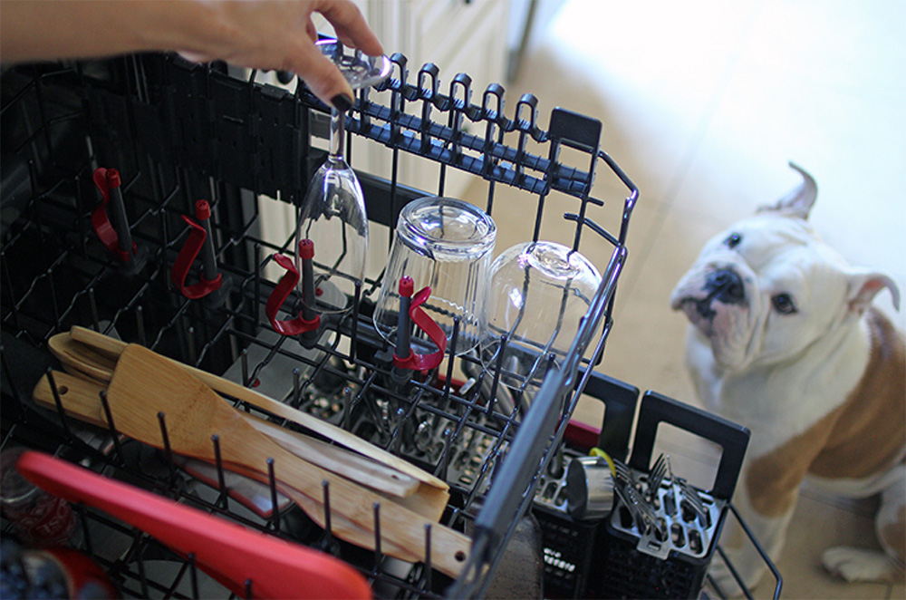 A woman holding a glass that is placed inside of a GE dishwasher and a dog in the background.