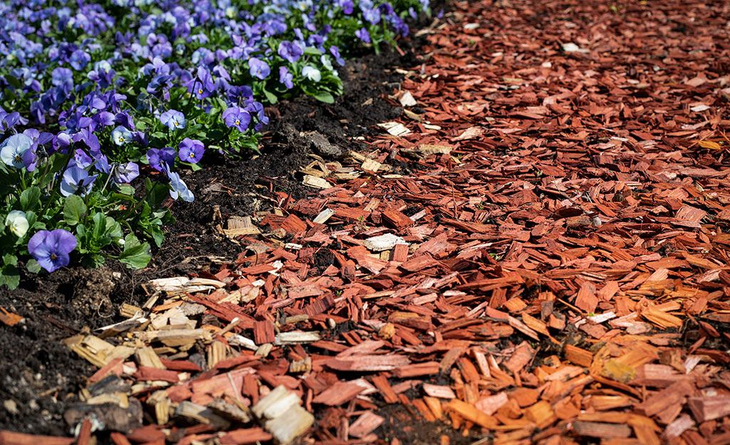 A layer of wood mulch is spread next to flowerbed.