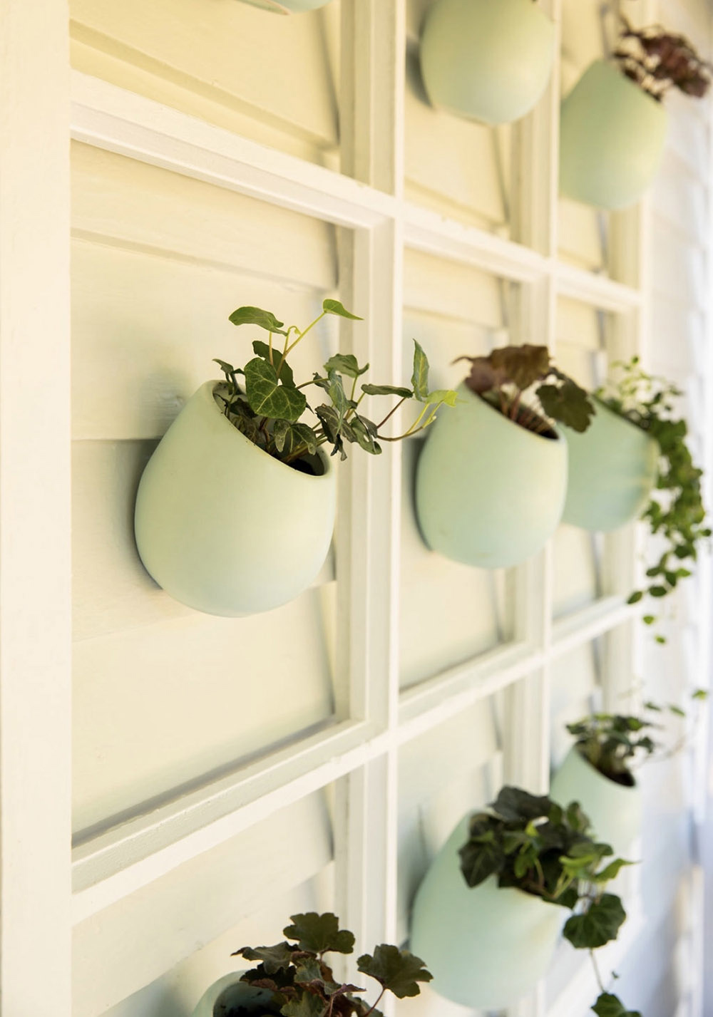 A collection of round mint ceramic wall planters attached to a porch wall.