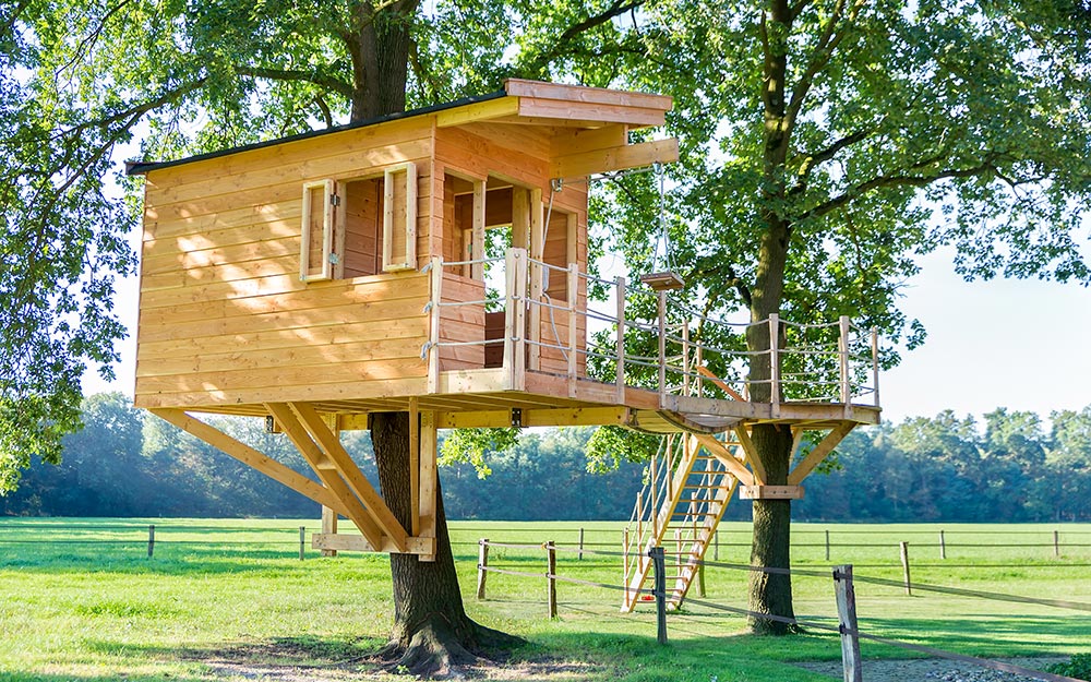 A treehouse in a backyard.