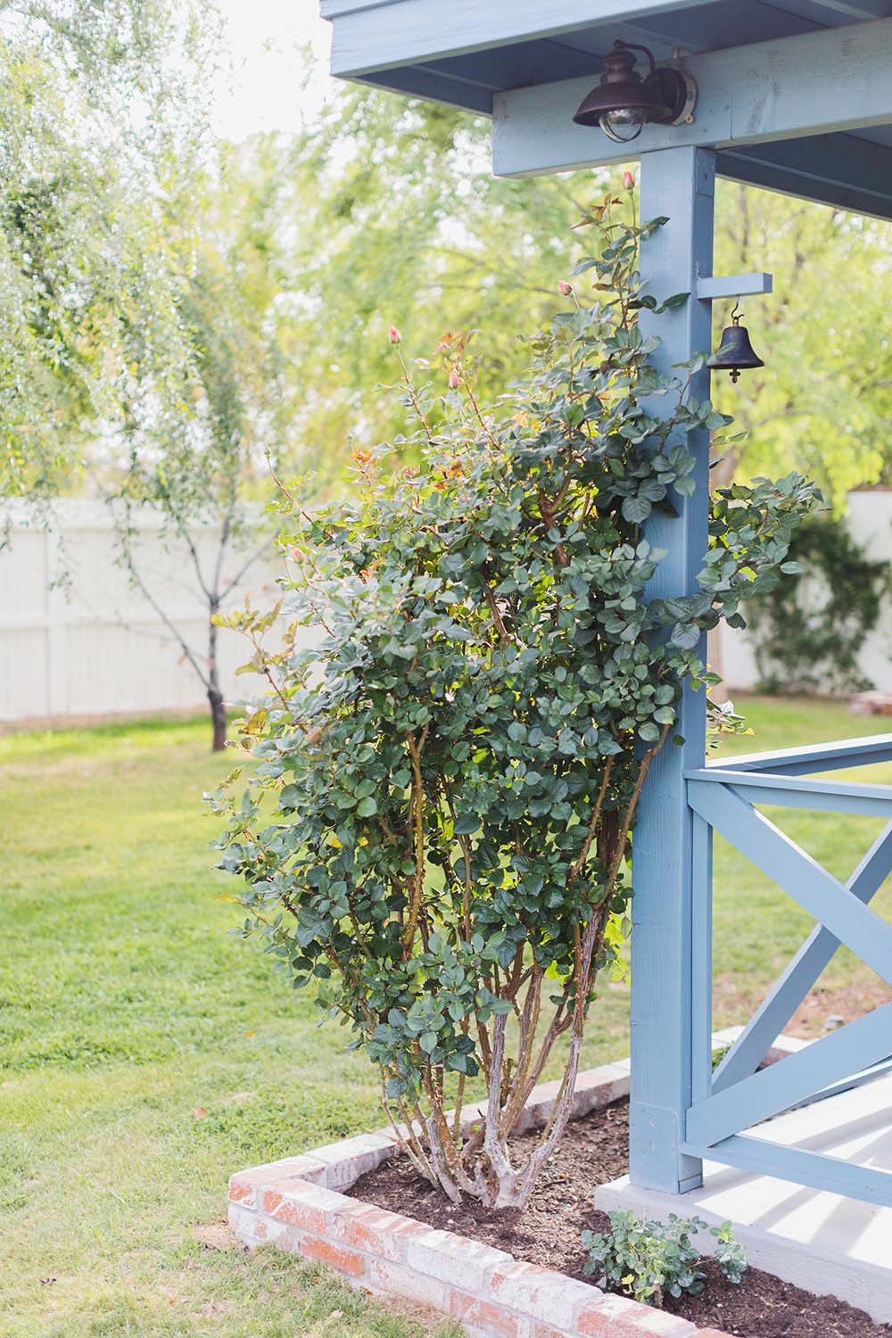 Backyard Ideas for Rejuvenating Your Patio Space