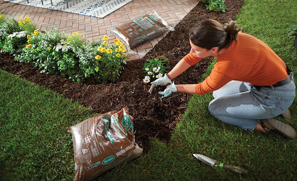 Image of Pine Needle Mulch for Around Fire Pits from Home Depot