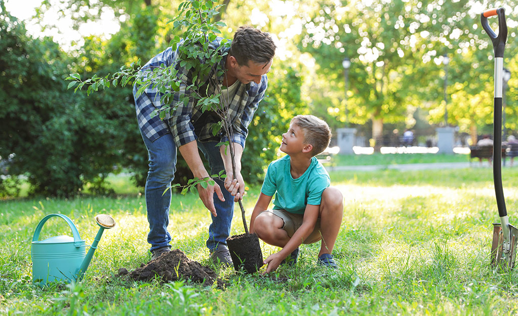 Backyard Ideas on a Budget