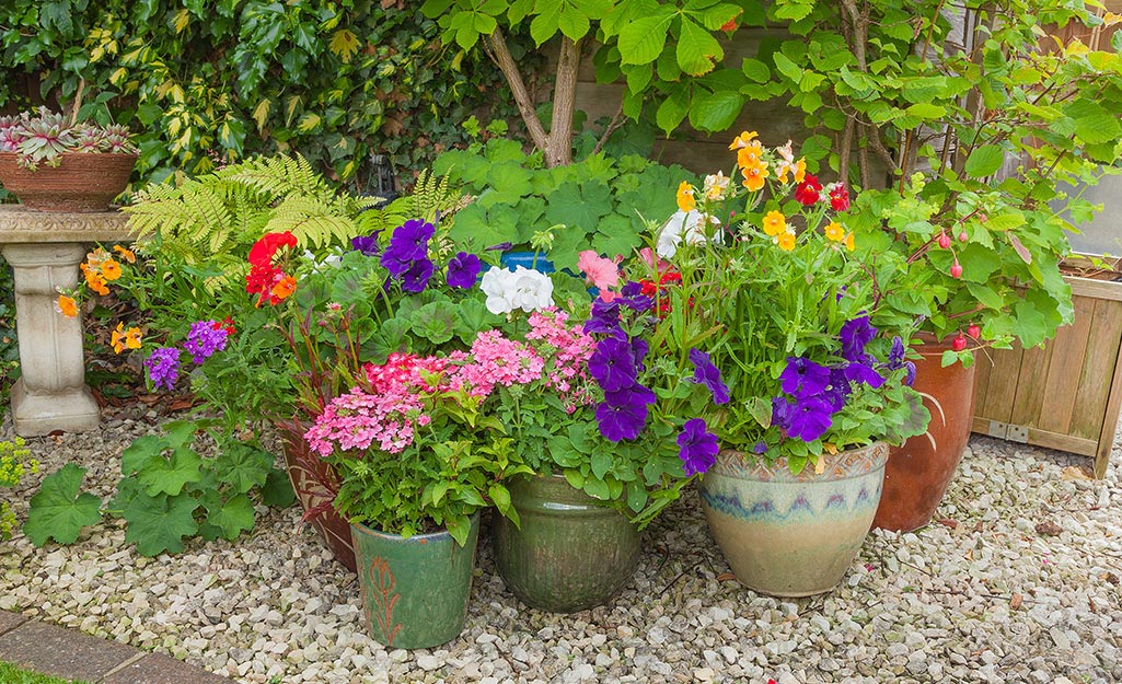 A container garden sitting on a gravel bed.