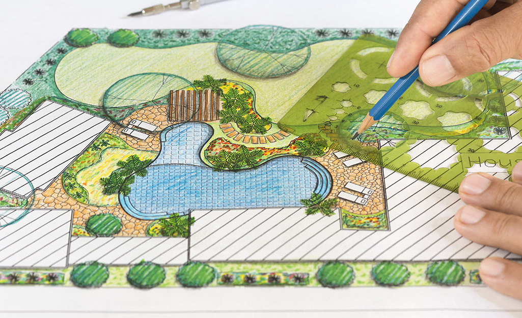 A landscape design sketch for a backyard.