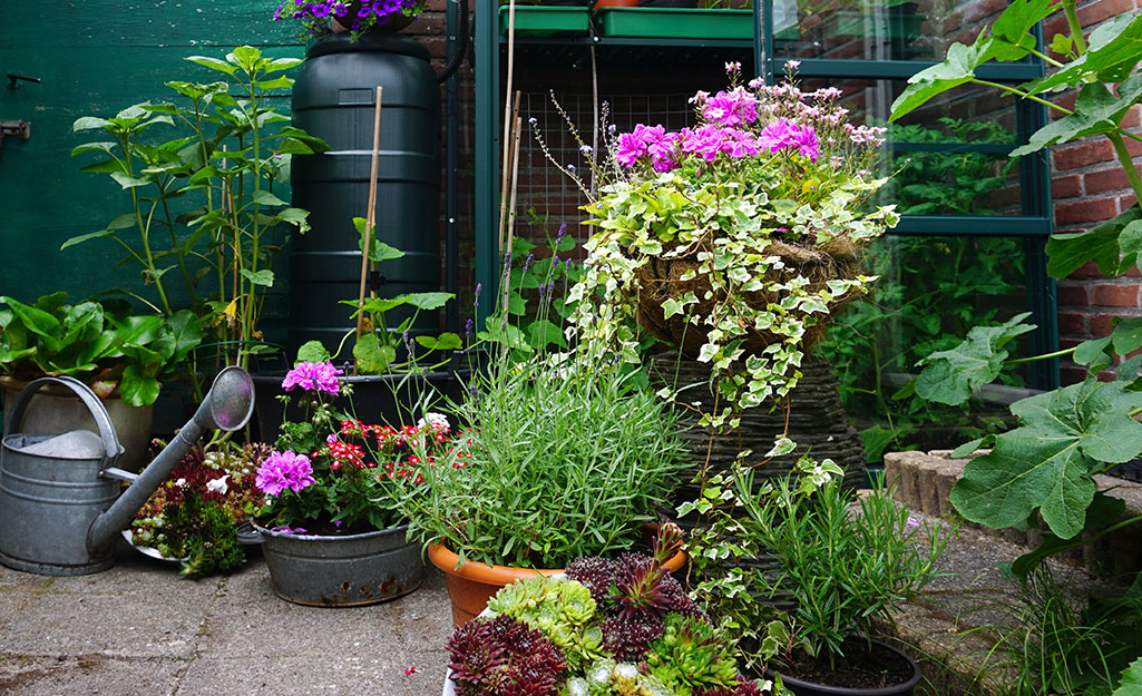 A container garden filled with flowering plants and vegetables.