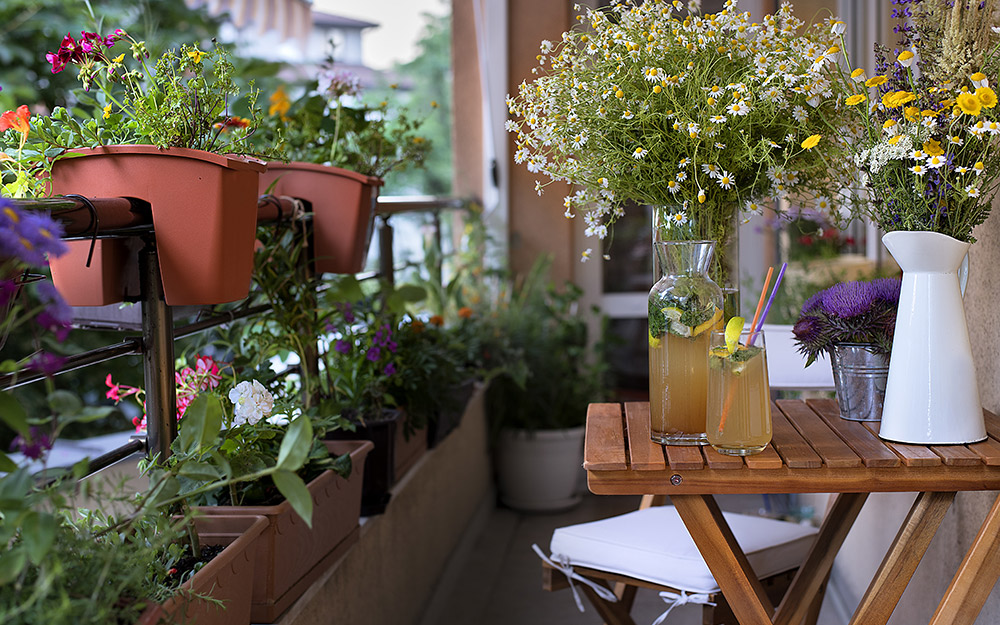 a balcony patio featuring lots of plants and greenery