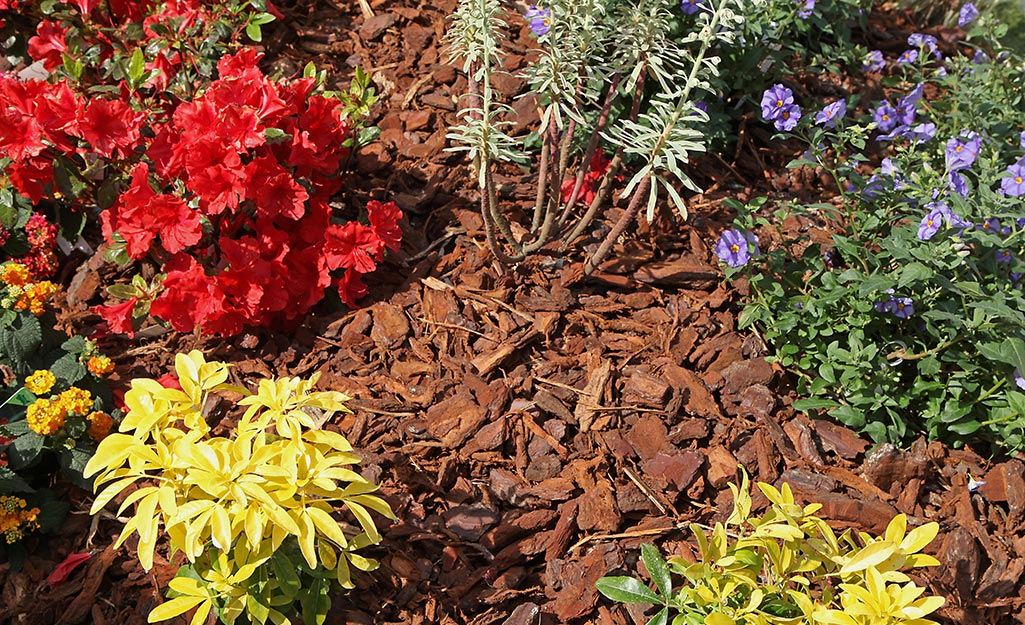 Benefits of Mulch The Home Depot