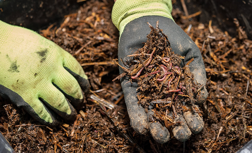 Benefits of Mulch The Home Depot