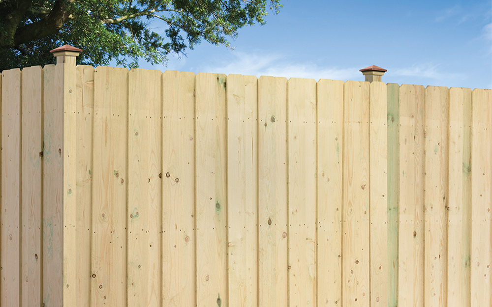 Pressure treated wood fence.