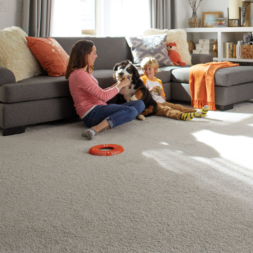 Best Carpet For Pets, Pet Proof Rugs