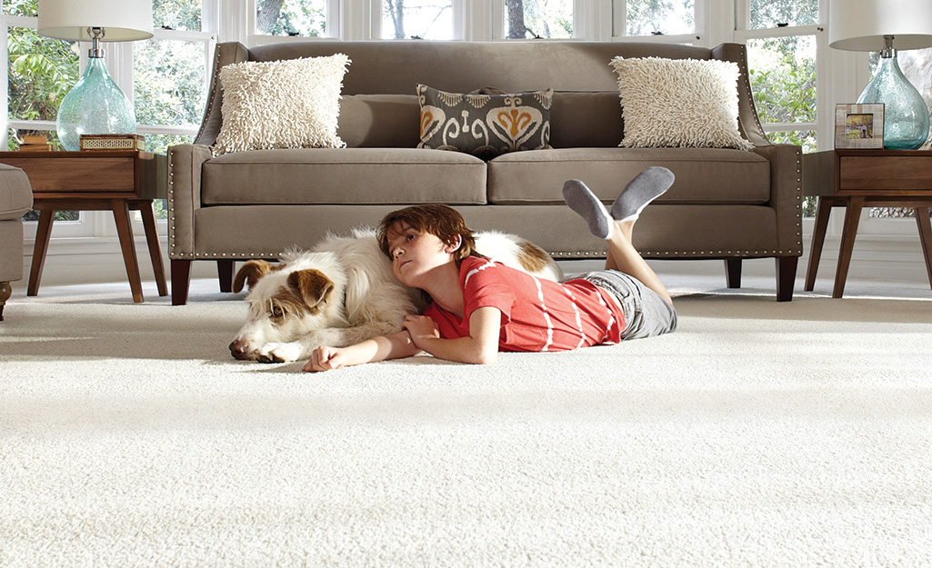 Best Carpet For Pets, Area Rugs Good For Pets