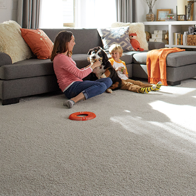 Best Carpet For Pets, Best Type Of Area Rugs For Dogs