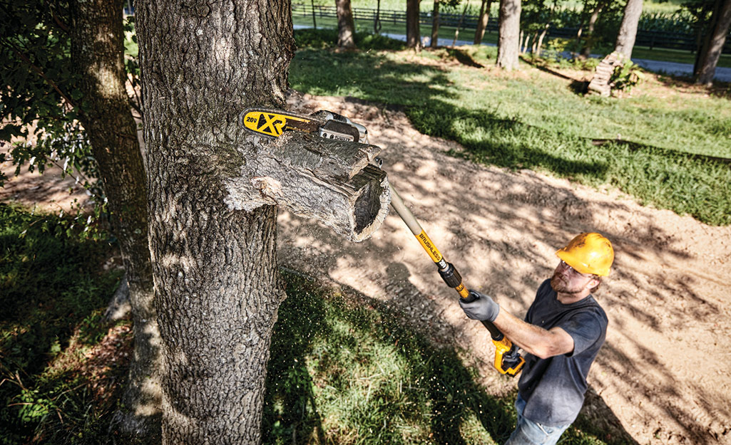 Someone using a pole saw to cut a broken tree limb.