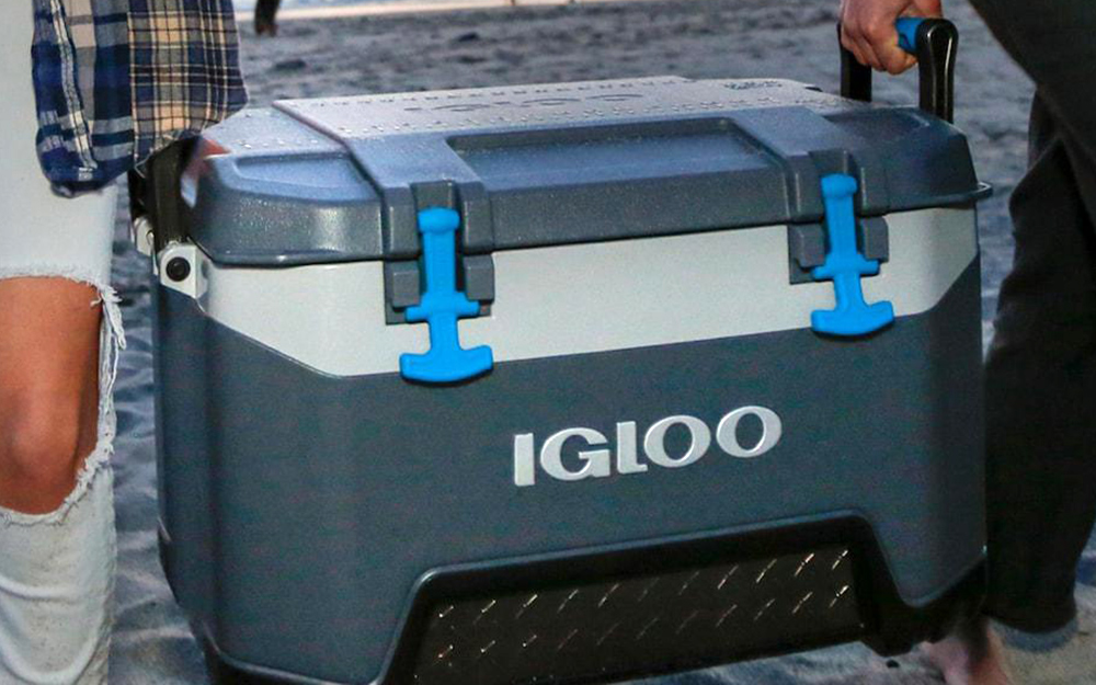 Cooler with animal-resistant latches for camping