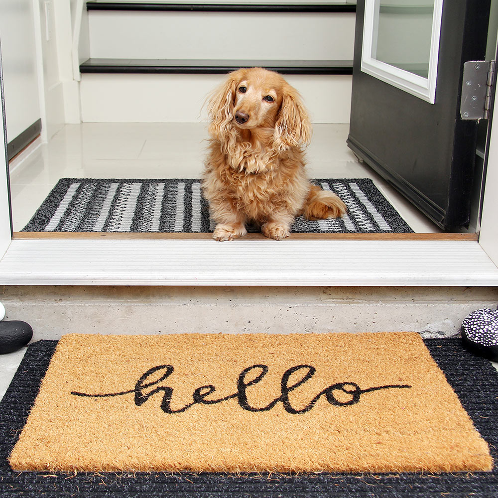 Rubber Scrape Door Mats Outdoor Indoor Semicircle Dirt Trapper Mat Non Slip  Doormat for Entrance Home Carpet Floor Mat Entry Rug