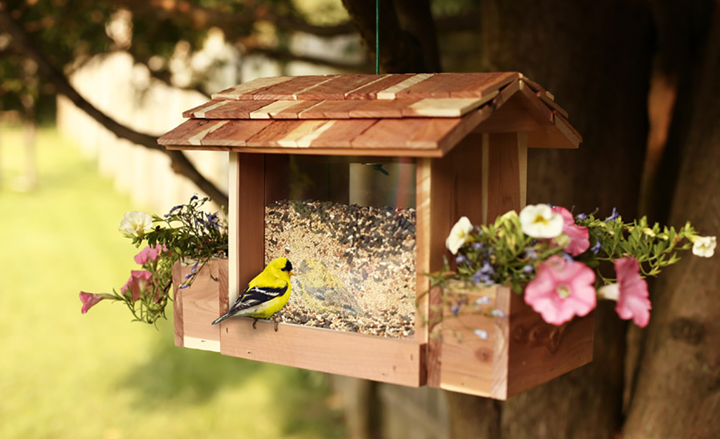 Goldfinch sits on a wood hopper bird feeder.