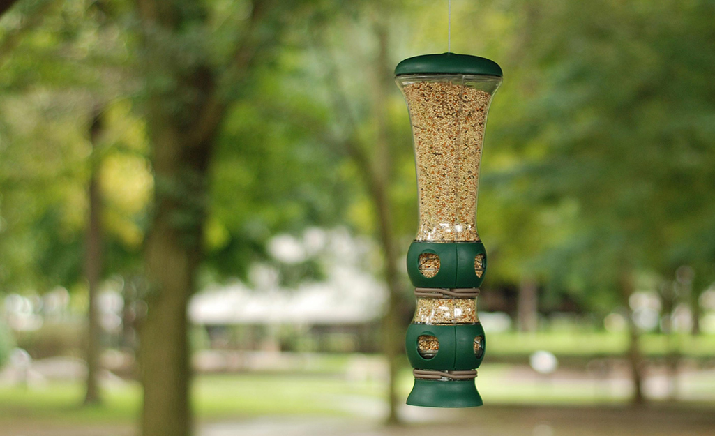 A tube bird feeder hanging in a park.