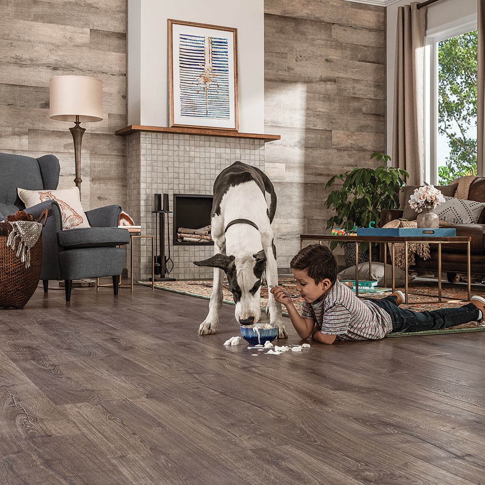 best laminate flooring for big dogs Alphonse Barba