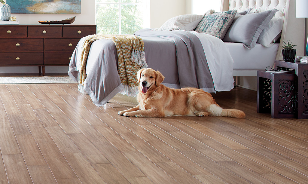 How To Choose The Best Flooring For Dogs   Best Flooring For Dogs Section 3 