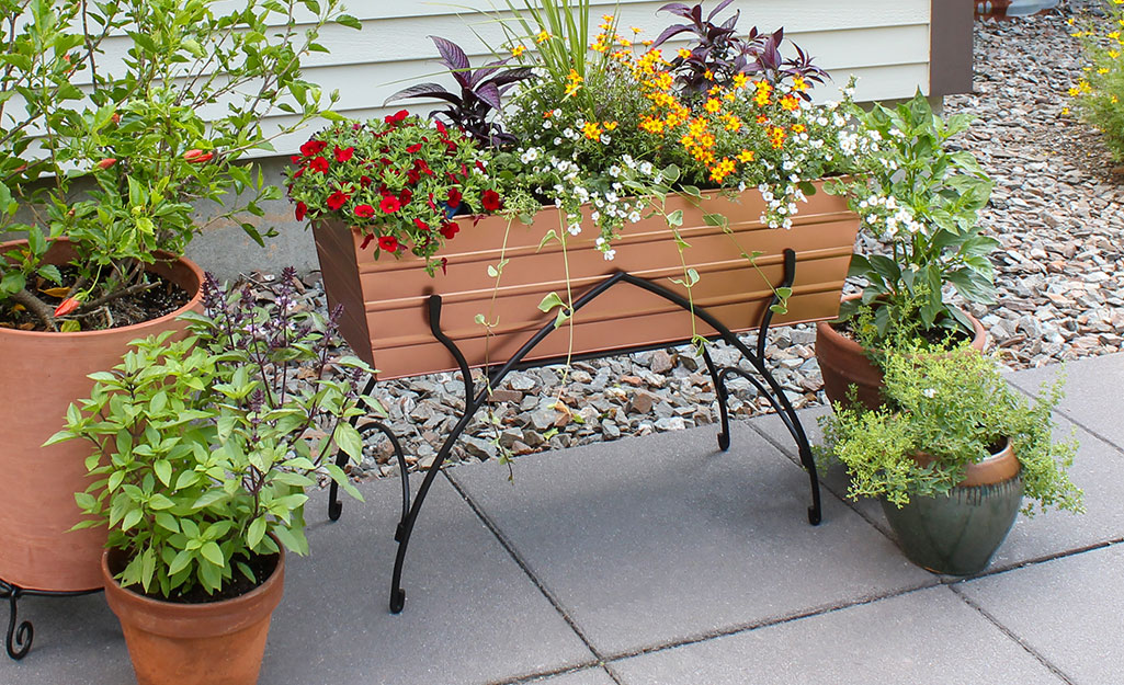  Gardening Pots, Planters & Accessories - Black / Gardening  Pots, Planters & Acce: Patio, Lawn & Garden