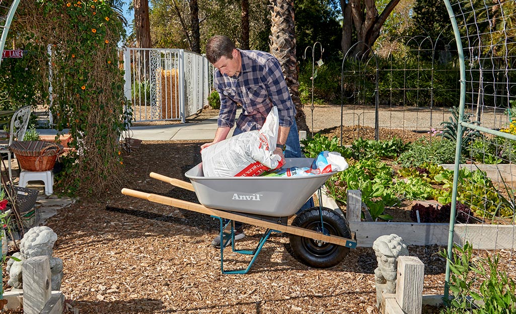 A man adds a bag of soil to a wheelbarrow parked next to raised garden beds.