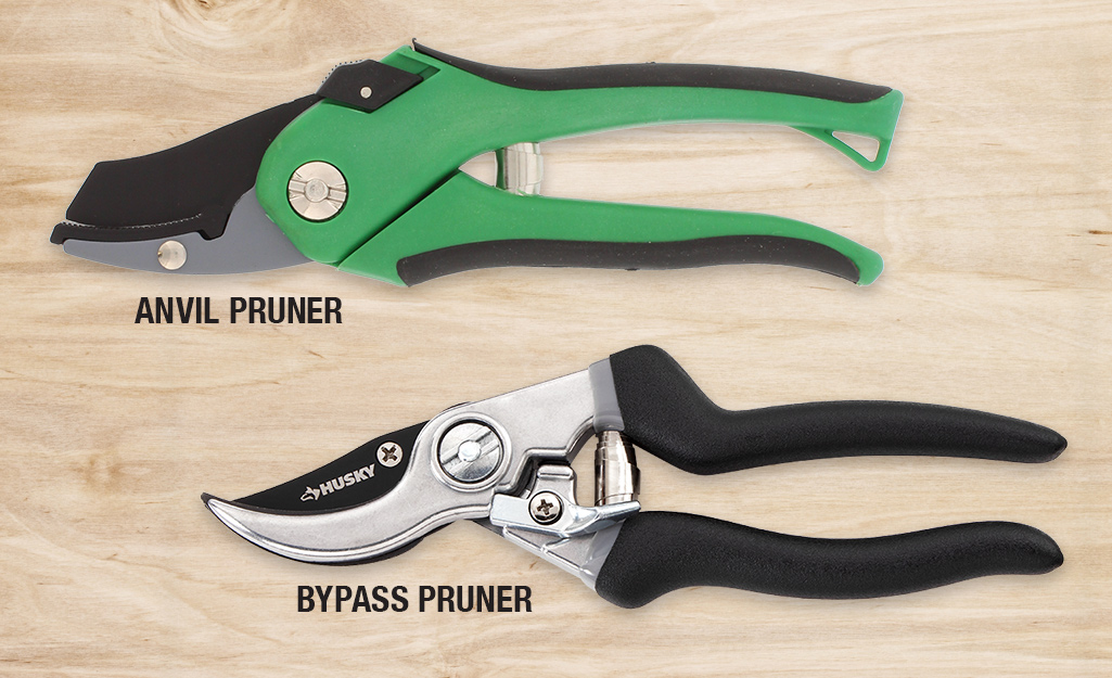 An infographic shows an anvil pruner and a bypass pruner.