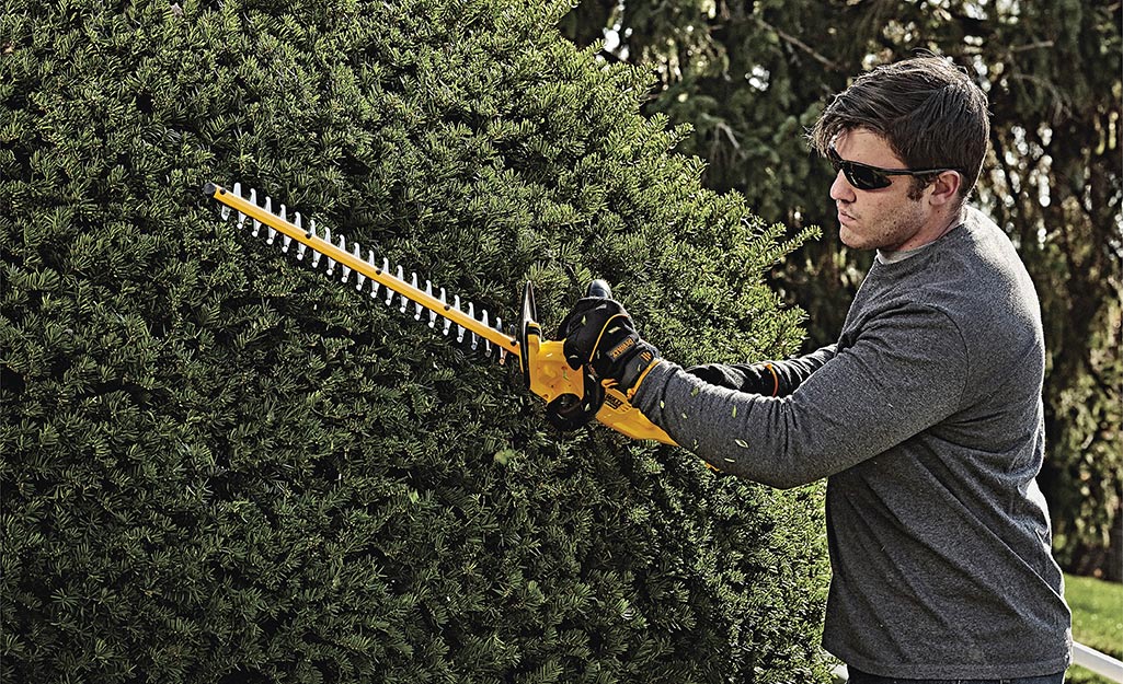 A man wears safety goggles to trim a shrub in his yard.