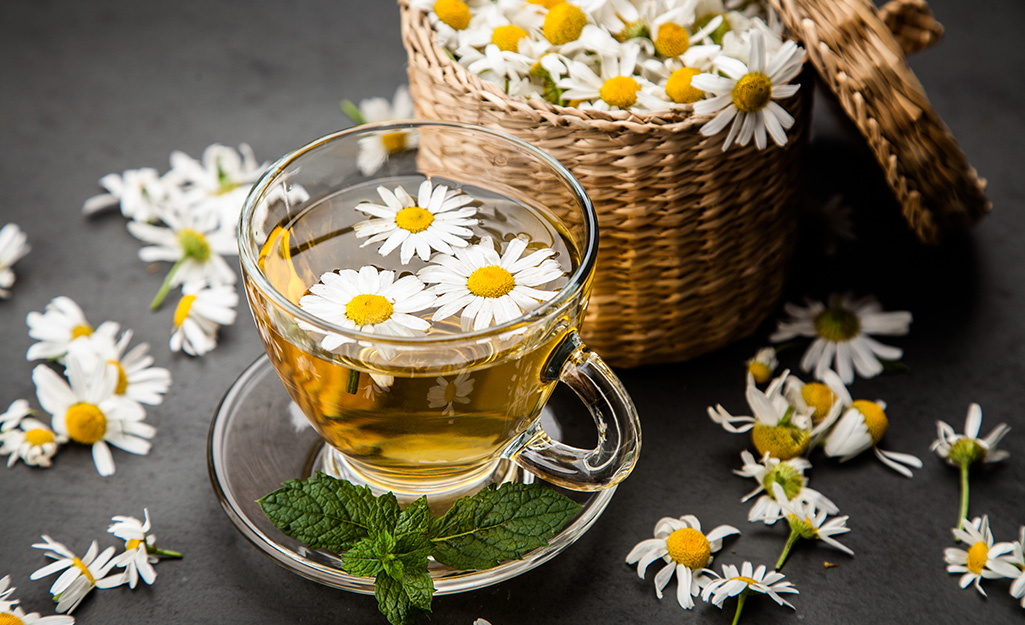 Best Herbs for Tea - The Home Depot