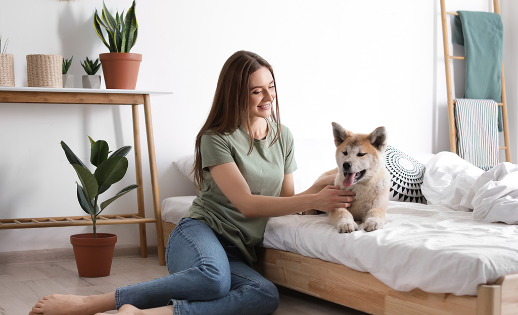 A woman sits next to a dog laying on a low bed and next to several houseplants.