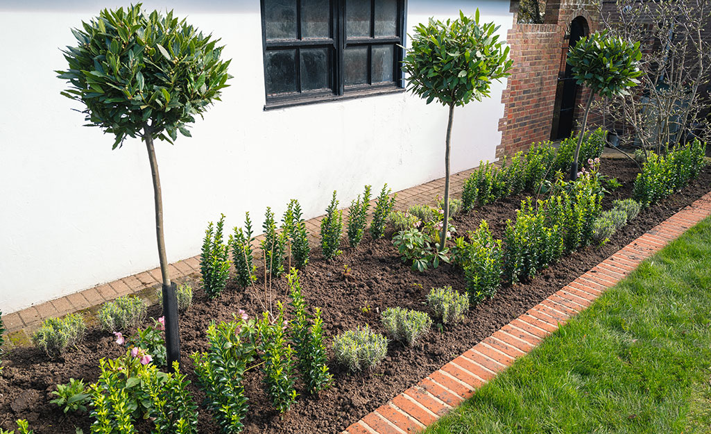 Best Landscape Edging For Your Yard, Home Depot Landscaping