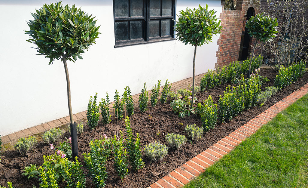 Brick edging installed between a flower bed and lawn.