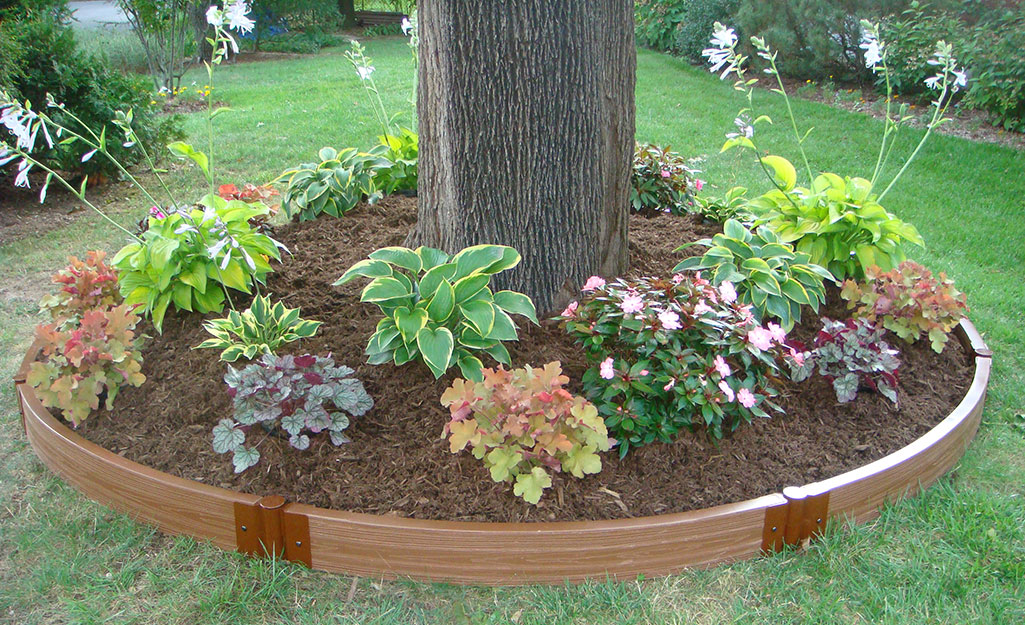 landscaping around trees with bricks