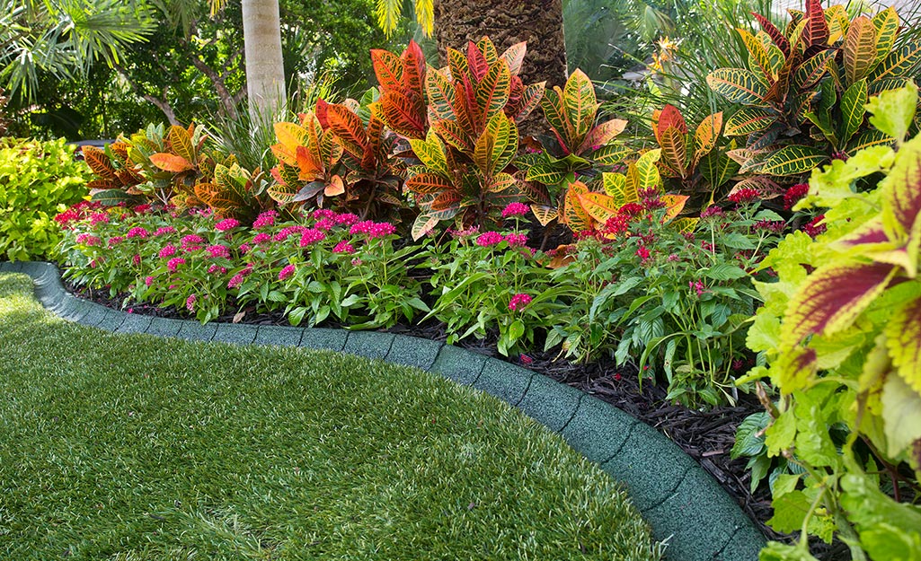 Rubber edging installed between a flower bed and lawn.