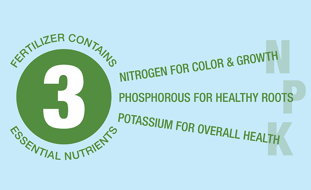 A graphic showing that the letters N-P-K on a bag of fertilizer stand for nitrogen, phosphorus and potassium. 