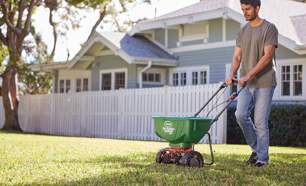 A man using a spreader to distribute lawn fertilizer in front of a house with a white fence. A man using a spreader to distribute lawn fertilizer in front of a house with a white fence.