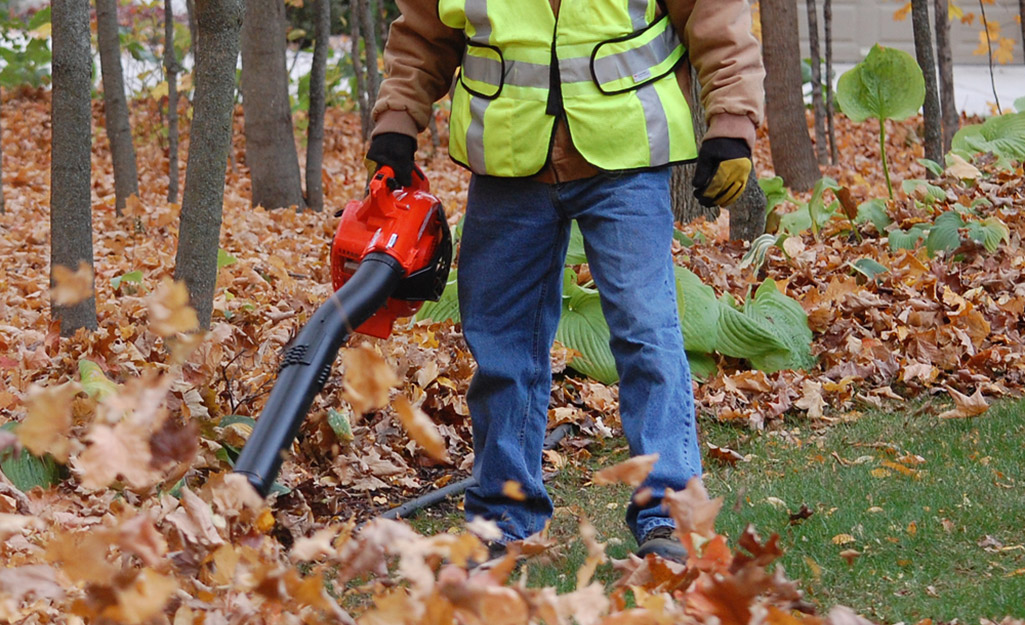 Image of Handheld leaf blower clearing leaves