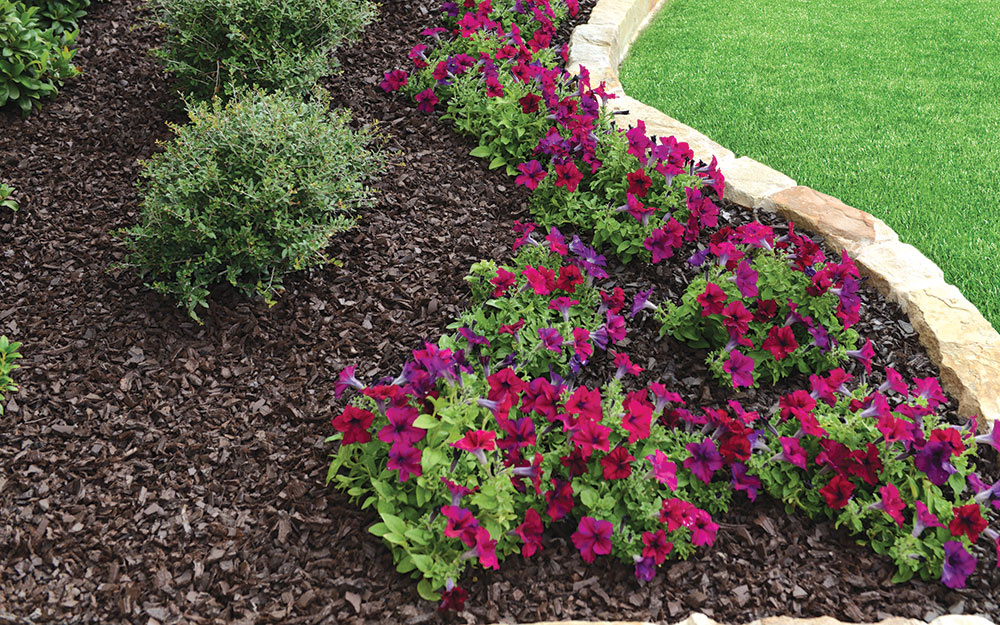 A garden bed with rubber mulch.