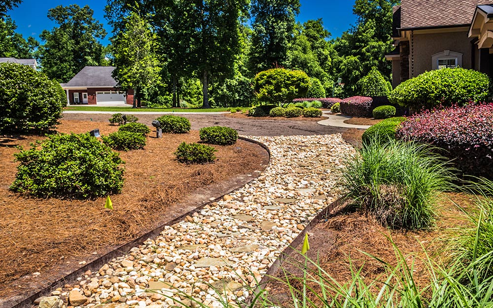 Image of Blue pine bark nuggets in a landscaped area