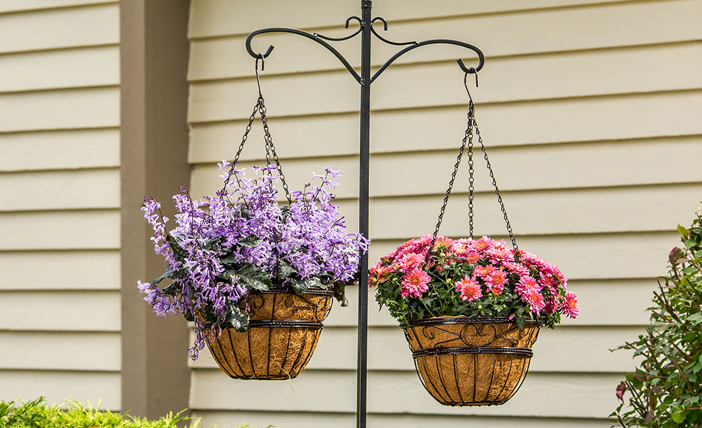 Two hanging baskets with flowers hanging on a shepherd's hook.