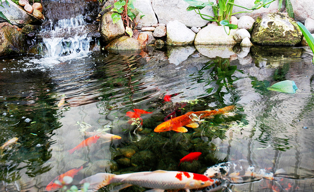 Outdoor fish pond hot sale filters and pumps