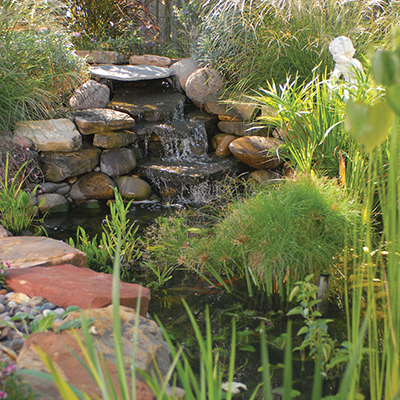 Best Pond Pumps For Your Garden