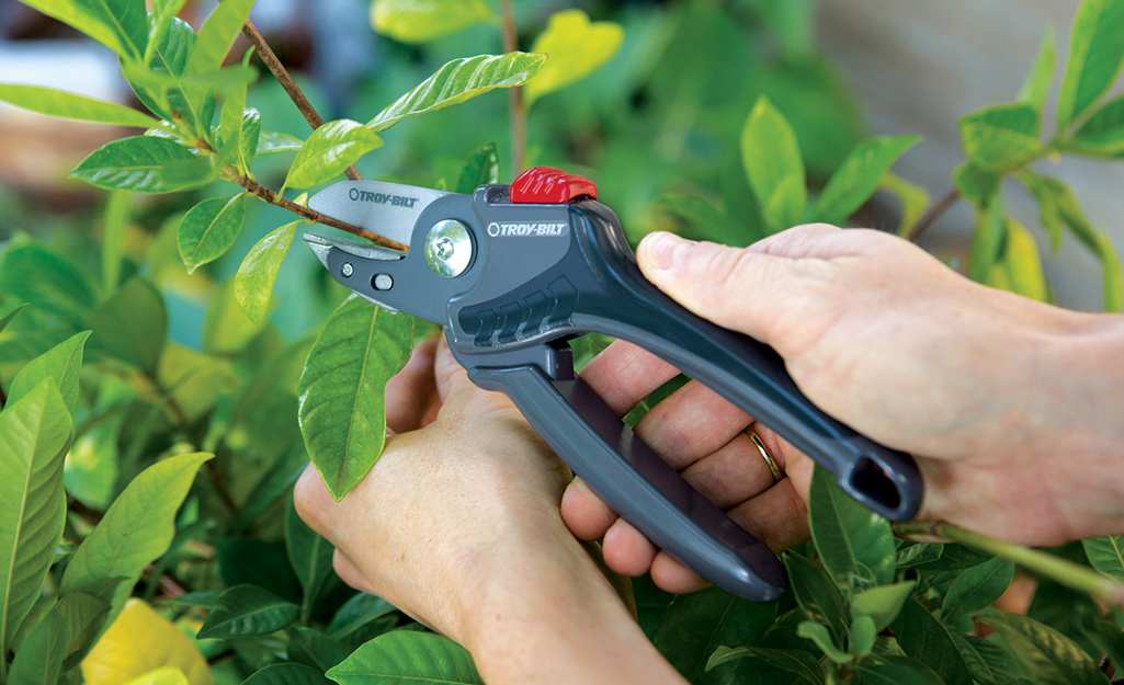 The Best Garden Pruners