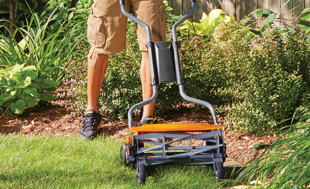 A man using a reel mower. A man using a reel mower.