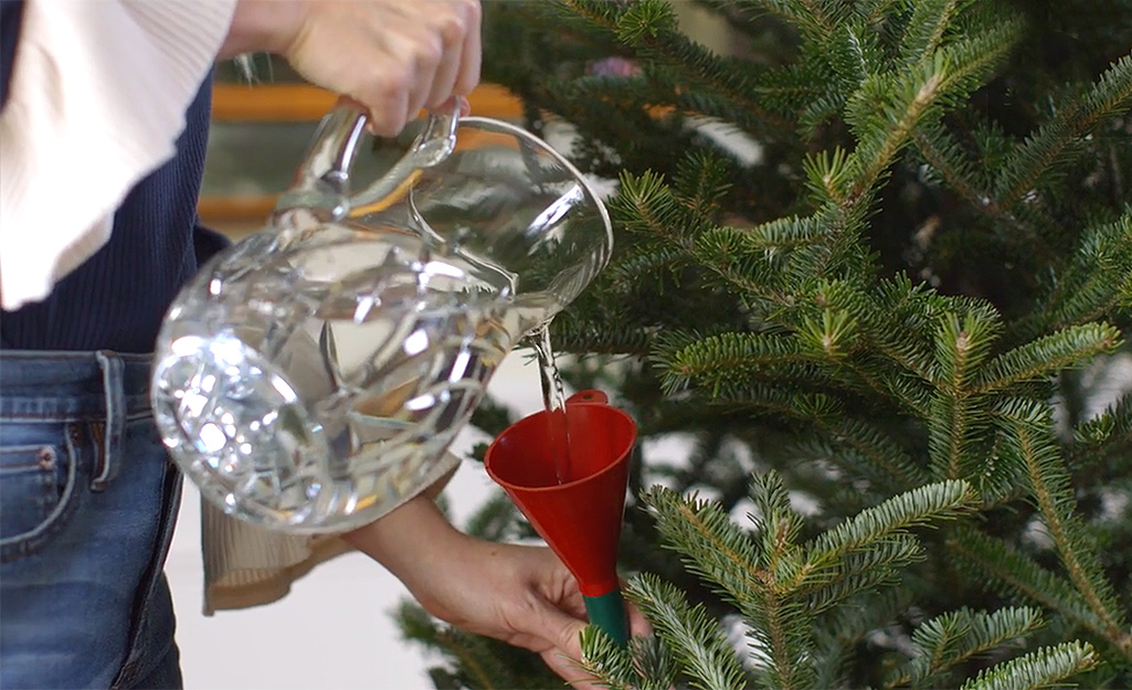 A person watering a Christmas tree.