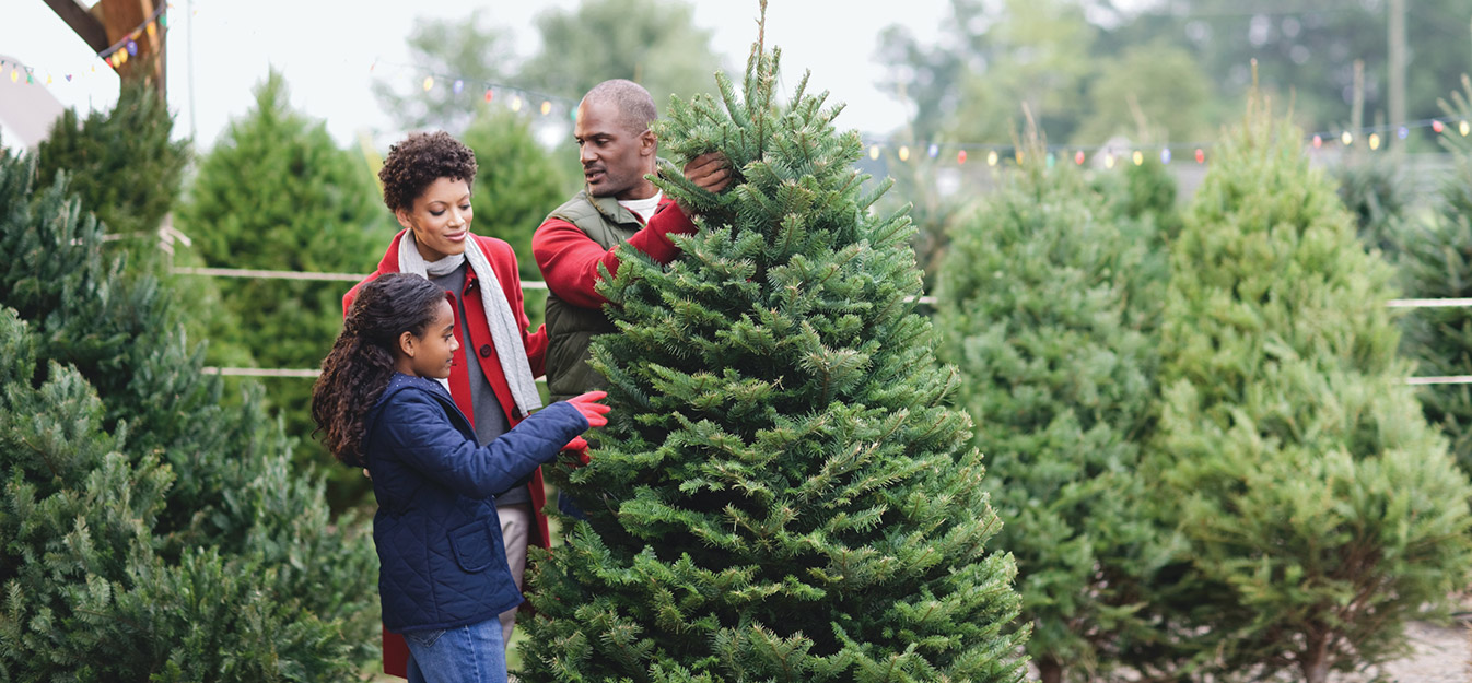 A family choosing a noble fir Christmas tree.