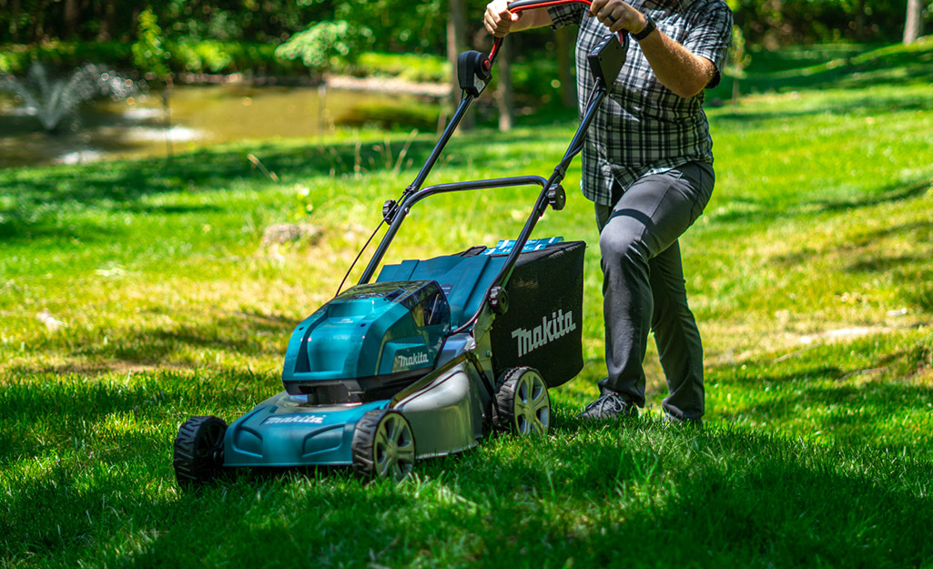 A person cuts a lawn with an electric self-propelled mower.